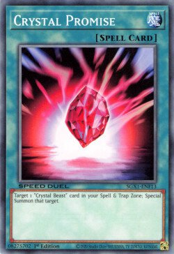 Promesa de cristal [SGX1-ENF13] Común 