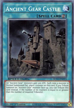 Castillo de engranaje antiguo [SGX1-END13] Común 