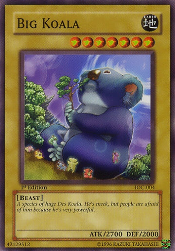 Koala grande [IOC-004] Común 