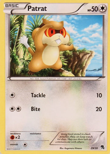 Patrat (29/30) [Blanco y negro: Kit de entrenamiento - Zoroark] 