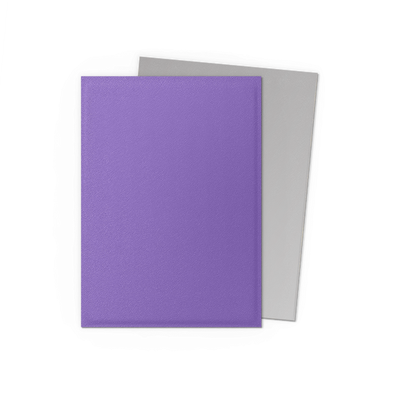 Dragon Shield: Standard 100ct Sleeves - Nebula & Silver (Dual Matte)