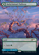 Barkchannel Pathway // Tidechannel Pathway (Borderless) [Secret Lair: Ultimate Edition 2]-1