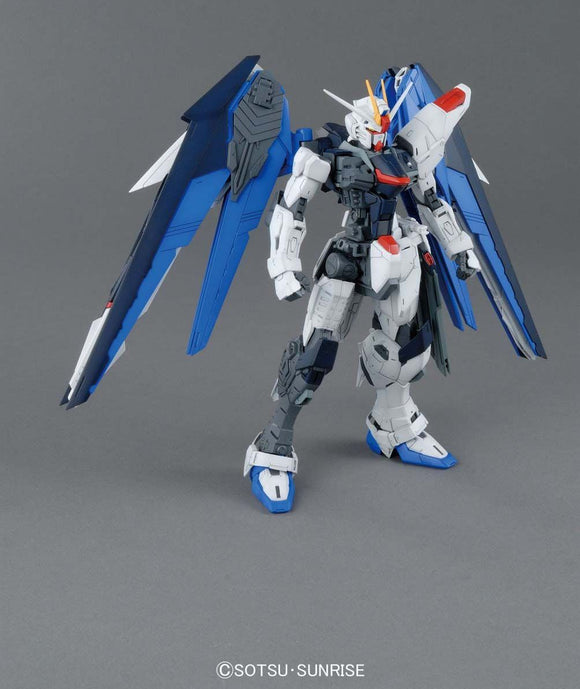 MG ZGMF-X10A Freedom Gundam Ver 2.0