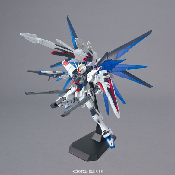 MG ZGMF-X10A Freedom Gundam Ver 2.0